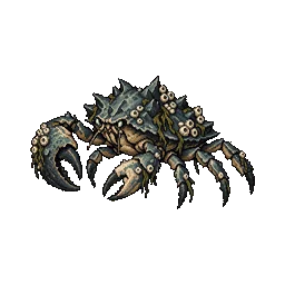 Reef Crab